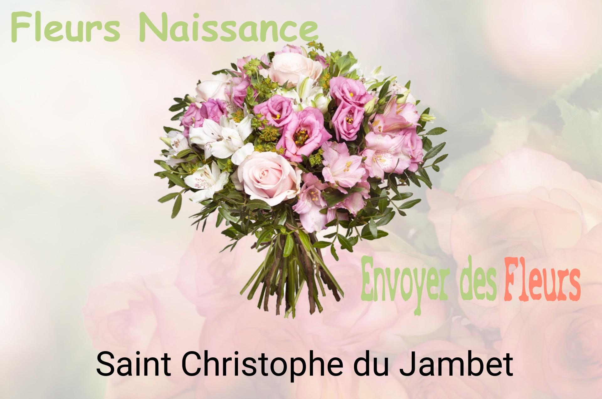 Bouquet de fleurs de naissance livré à Saint-Christophe-du-Jambet