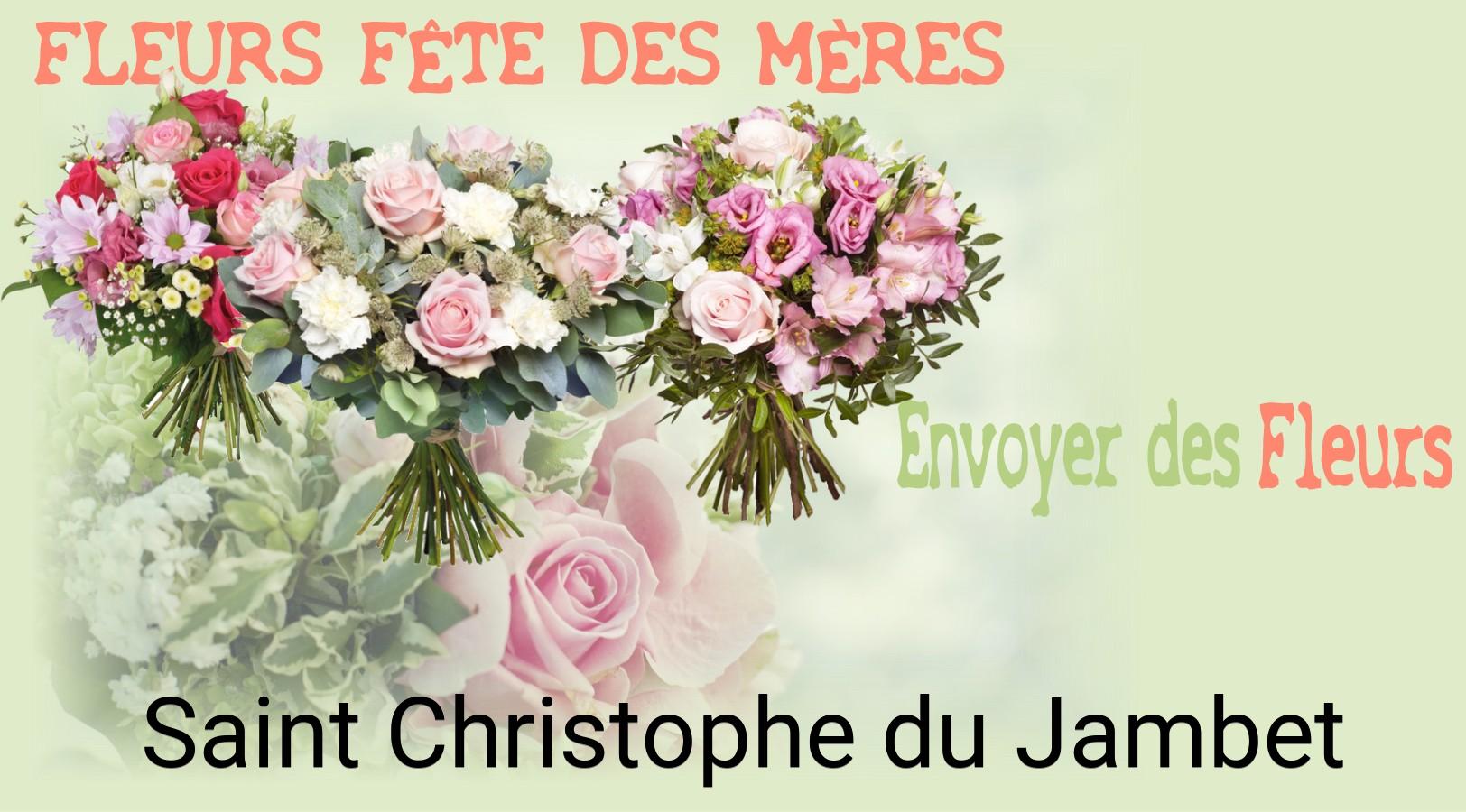 Bouquet de Fête des Mères livré à Saint-Christophe-du-Jambet